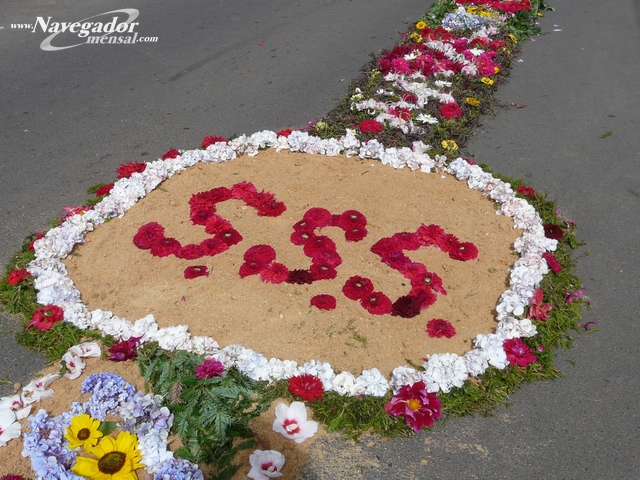 Imagem 87 de 135  -  319 kB
